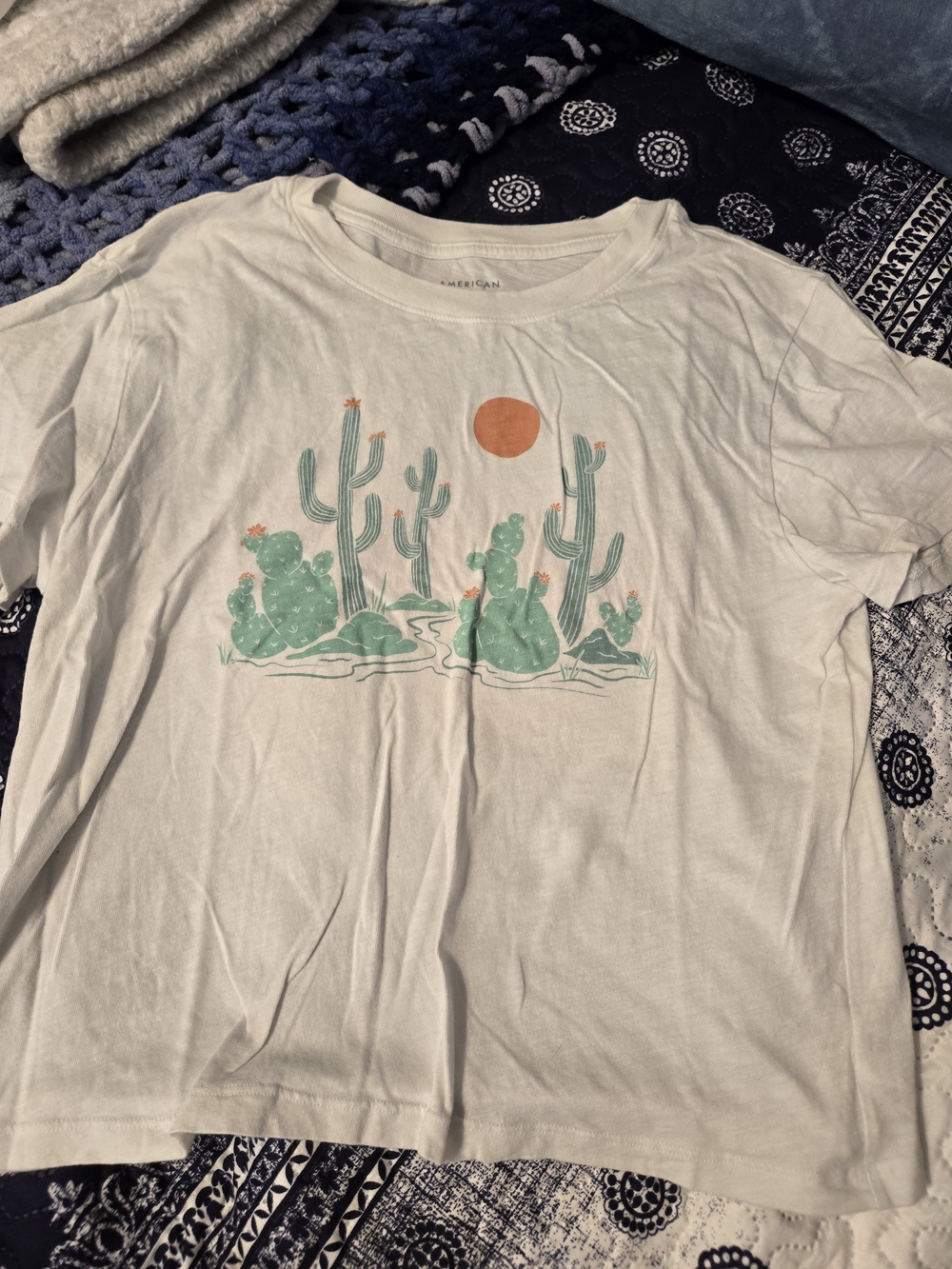 American Eagle Outfitters White Tee with Green Cactus and Orange Sun Graphic